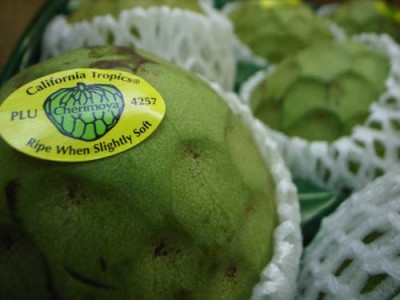 Cherimoya