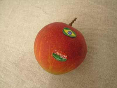 Mango from BRAZIL